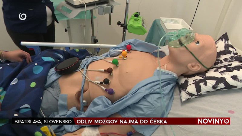 ODLIV MOZGOV NAJMÄ DO ČESKA