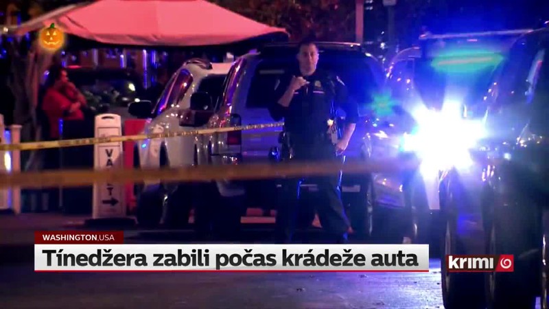 Tínedžera zabili počas krádeže auta