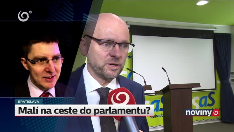 Malí na ceste do parlamentu?