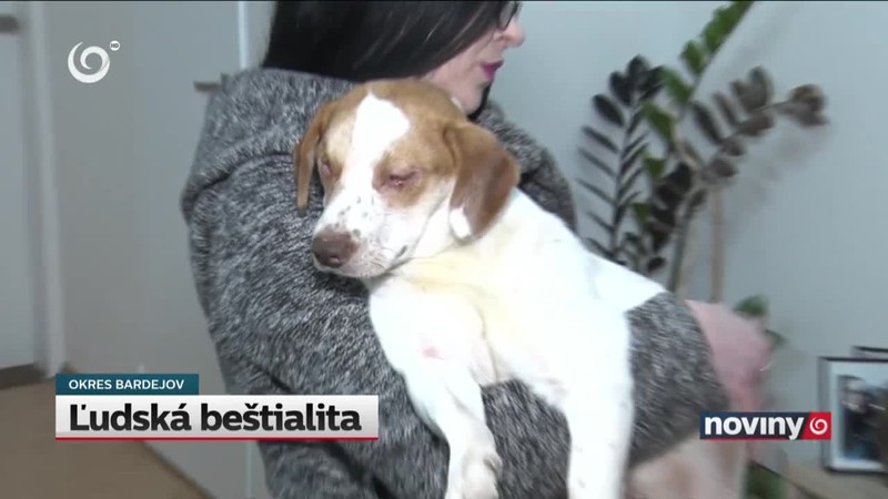 Ľudská beštialita