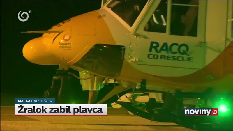 Žralok zabil plavca