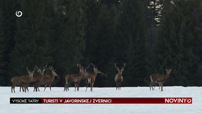 TURISTI V JAVORINSKEJ ZVERNICI