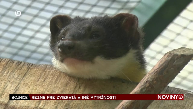 REZNE PRE ZVIERATÁ A INÉ VÝTRŽNOSTI