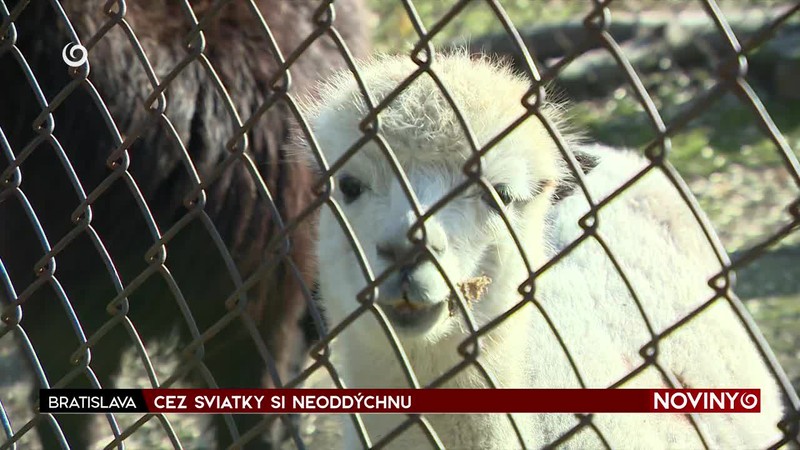 CEZ SVIATKY SI NEODDÝCHNU