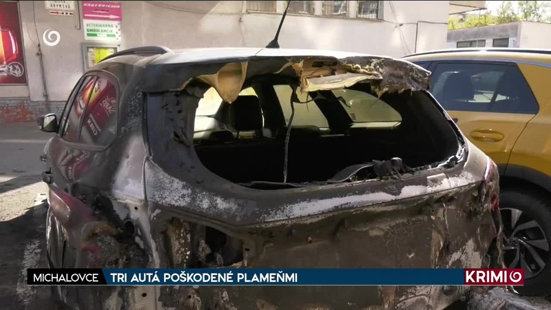 PARALYZÉROM NA POLICAJTOV