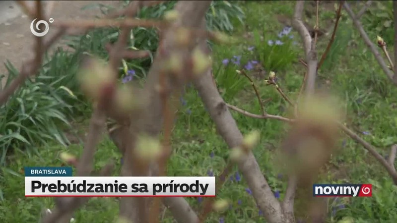 Prebúdzanie sa prírody