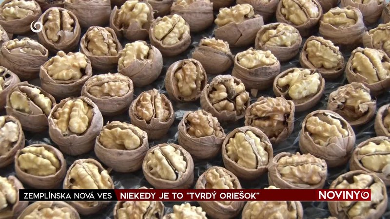 NIEKEDY JE TO "TVRDÝ ORIEŠOK"