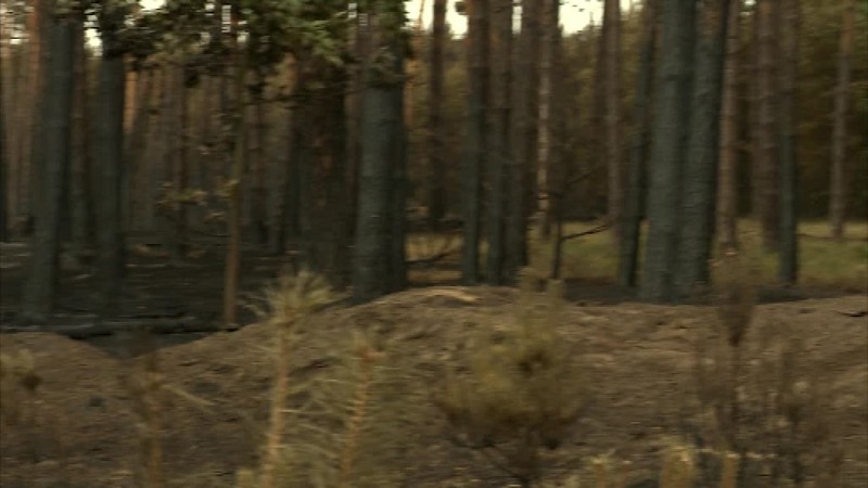 Hasiči stále pracujú na rozsiahlom požiari na Záhorí 3