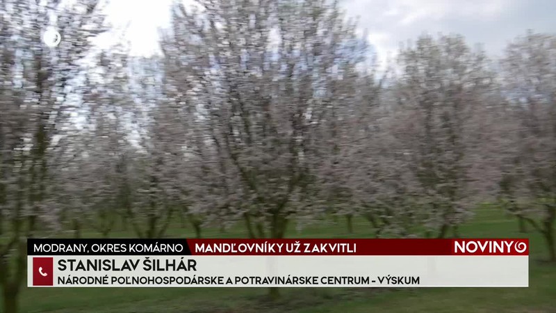 SKONČILI SA PREZIDENTSKÉ VOĽBY
