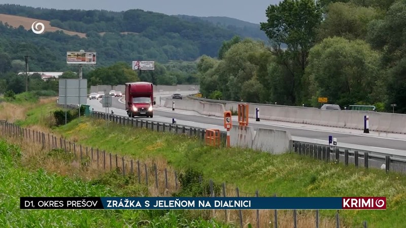 ZRÁŽKA S JELEŇOM NA DIAĽNICI