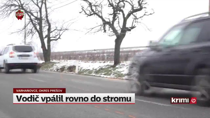 Vodič vpálil rovno do stromu