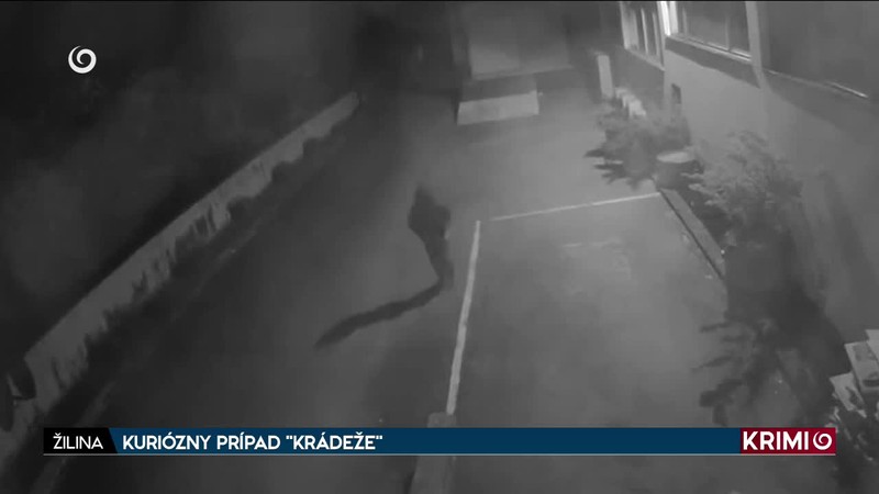 KURIÓZNY PRÍPAD "KRÁDEŽE"