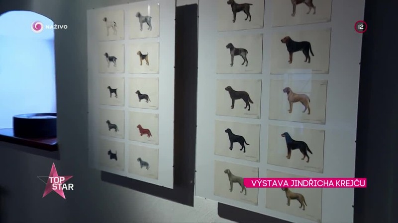 VÝSTAVA JINDŘICHA KREJČU