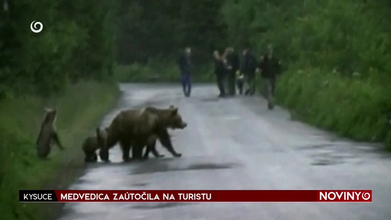 MEDVEDICA ZAÚTOČILA NA TURISTU