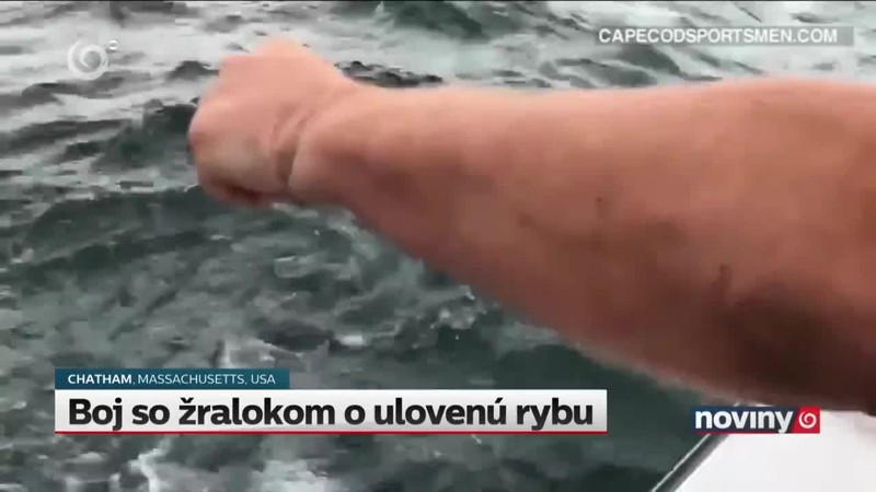 Boj so žralokom o ulovenú rybu