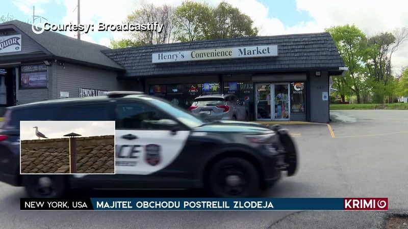 RUS UKRADOL LUXUSNÚ JACHTU