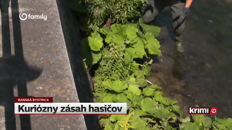 Kuriózny zásah hasičov