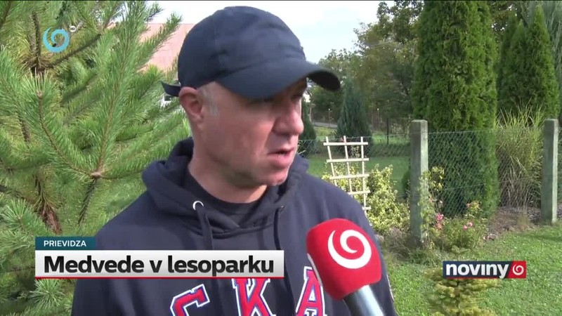 Medvede v lesoparku