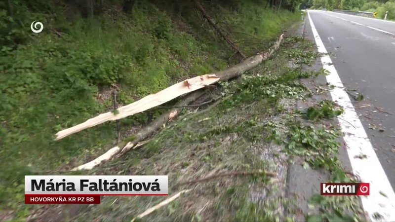 Padajúci strom zasiahol idúce auto