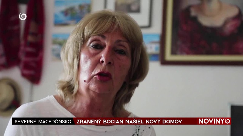 ZRANENÝ BOCIAN NAŠIEL NOVÝ DOMOV