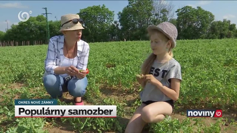 Populárny samozber
