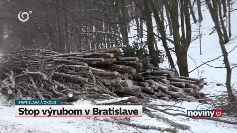 Stop výrubom v Bratislave