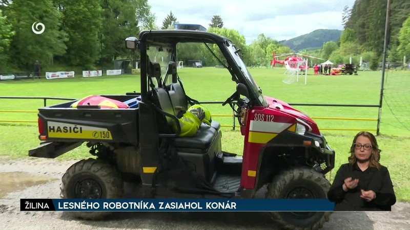 LESNÉHO ROBOTNÍKA ZASIAHOL KONÁR