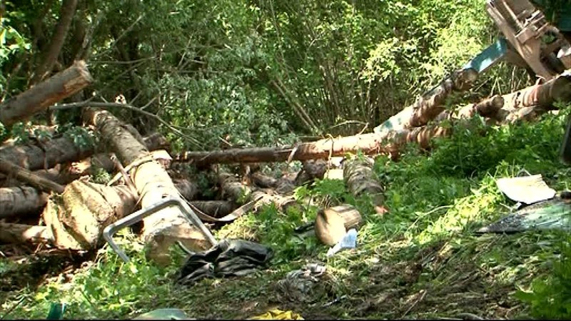 Kamión naložený drevom zišiel z cesty. Nehoda si vyžiadala jeden život