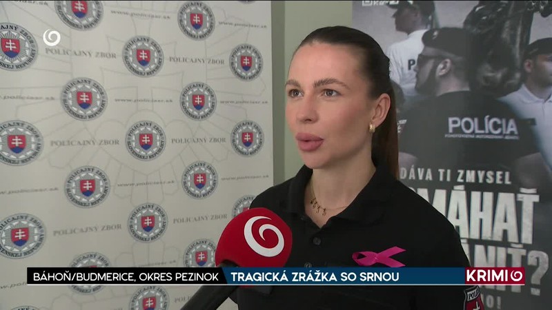 TRAGICKÁ ZRÁŽKA SO SRNOU