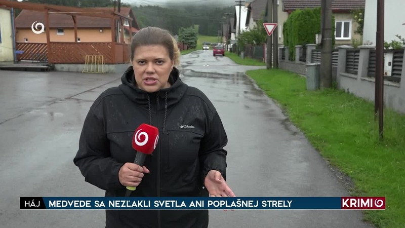 MEDVEDE SA NEZĽAKLI SVETLA ANI POPLAŠNEJ STRELY