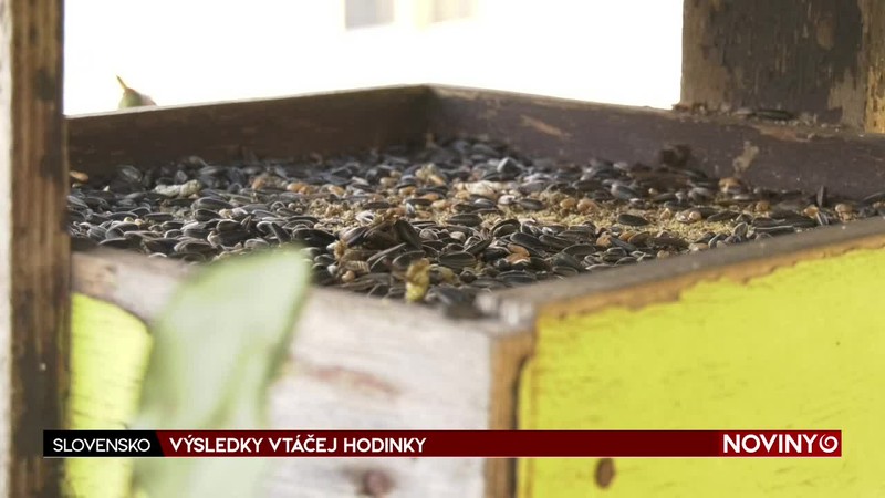 VÝSLEDKY VTÁČEJ HODINKY