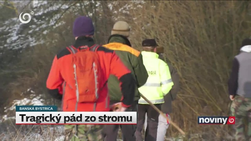 Tragický pád zo stromu