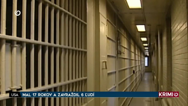 MAL 17 ROKOV A ZAVRAŽDIL 6 ĽUDÍ