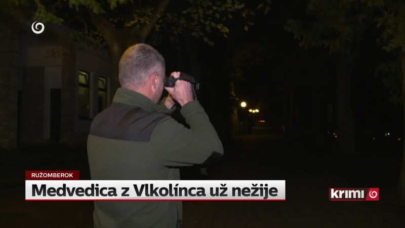 Medvedica z Vlkolínca už nežije