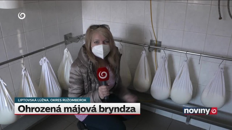 Ohrozená májová bryndza