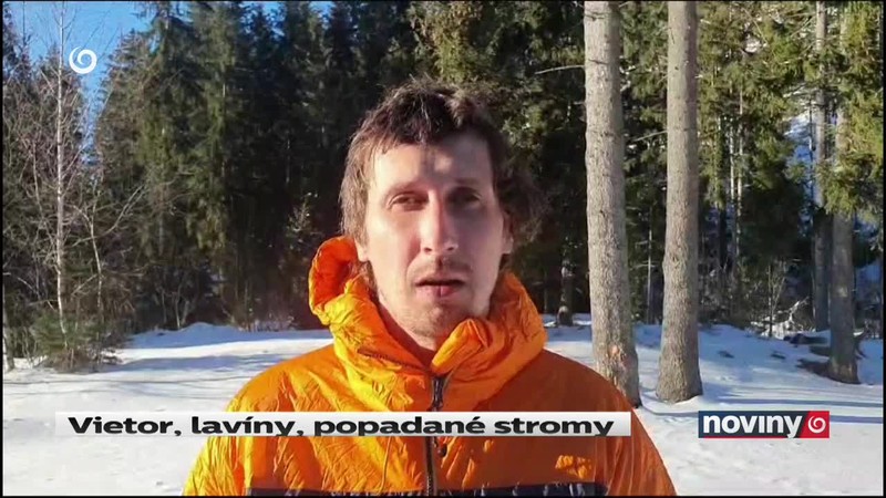 Vietor, lavíny, popadané stromy