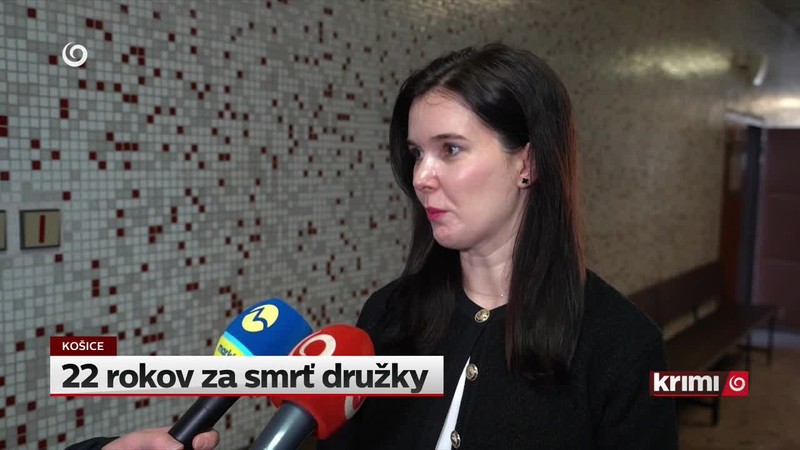 22 rokov za smrť družky