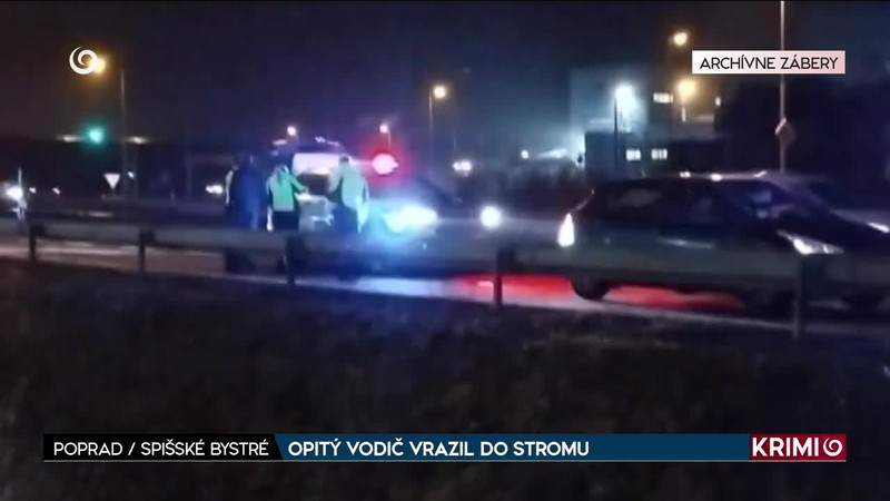 OPITÝ VODIČ VRAZIL DO STROMU