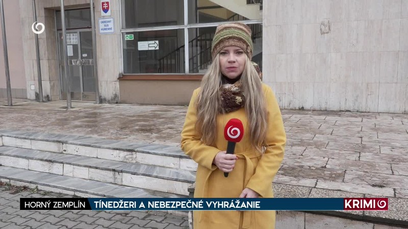 TÍNEDŽERI A NEBEZPEČNÉ VYHRÁŽANIE