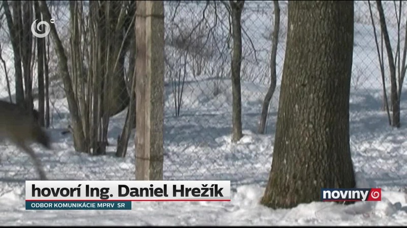 Skončil sa lov vlkov