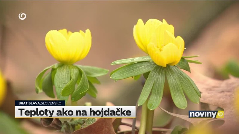 Teploty ako na hojdačke