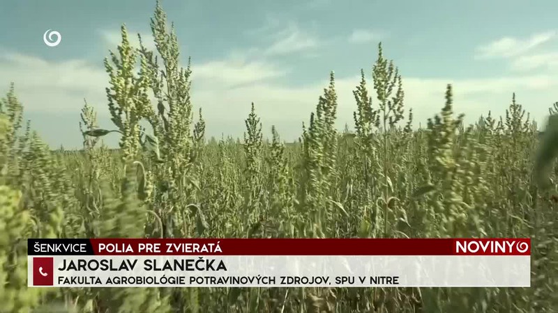 1296. DEŇ RUSKEJ INVÁZIE