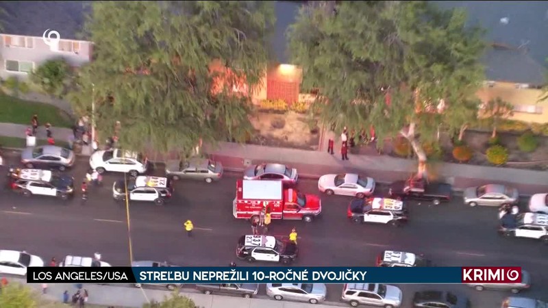 STREĽBU NEPREŽILI 10-ROČNÉ DVOJIČKY