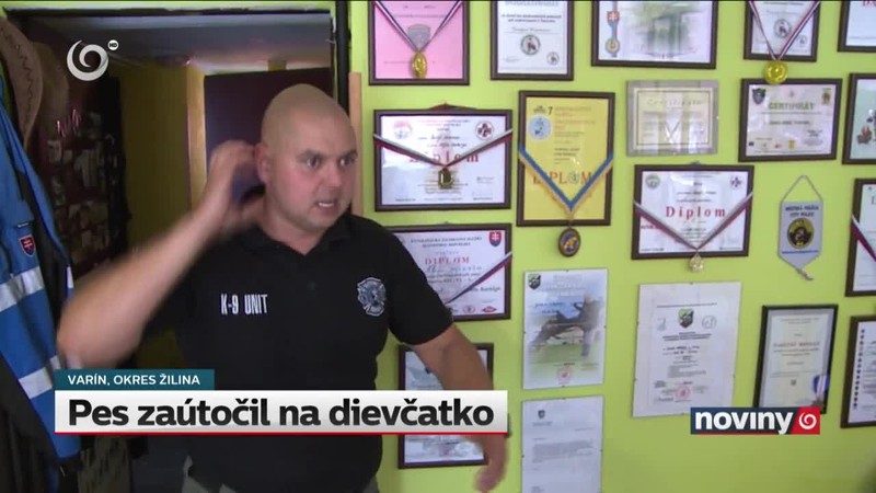 Pes zaútočil na dievčatko