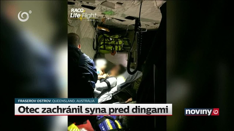 Otec zachránil syna pred dingami
