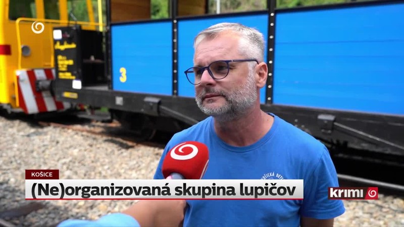 (Ne)organizovaná skupina lupičov
