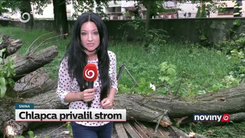 Chlapca privalil strom