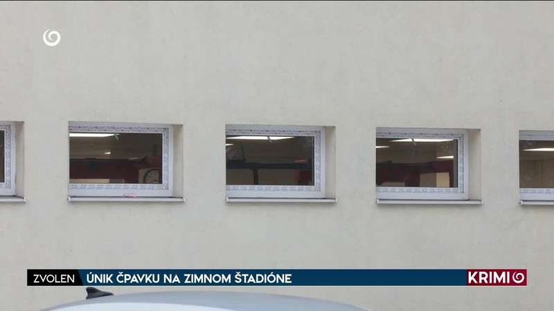 ÚNIK ČPAVKU NA ZIMNOM ŠTADIÓN