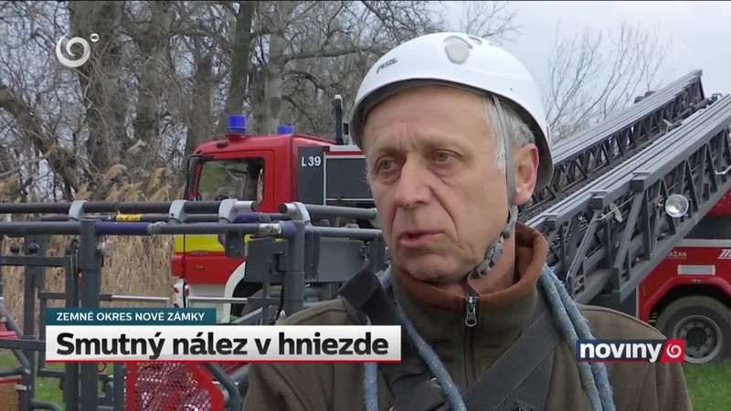 Smutný nález v hniezde