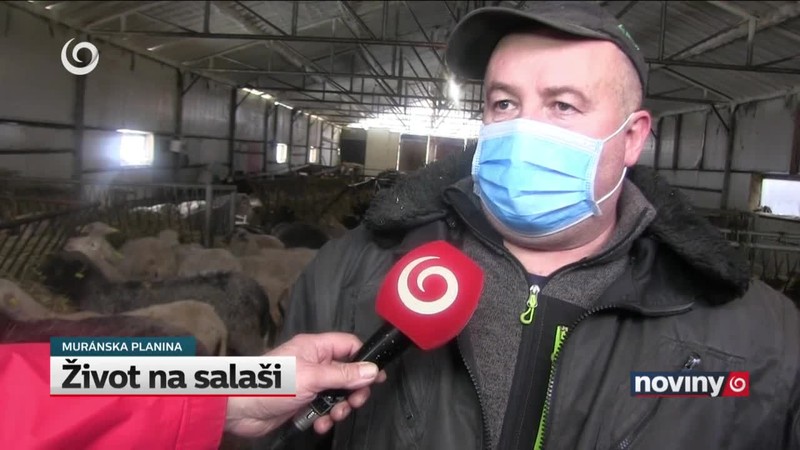 Život na salaši